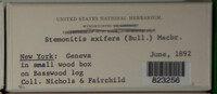 Image Associated With the Occurence